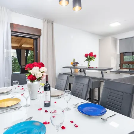 Modern Istra With Pool In Buje Villa