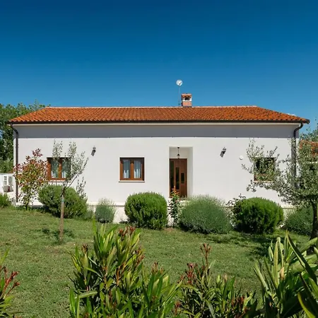 Villa Modern Istra With Pool In Buje *