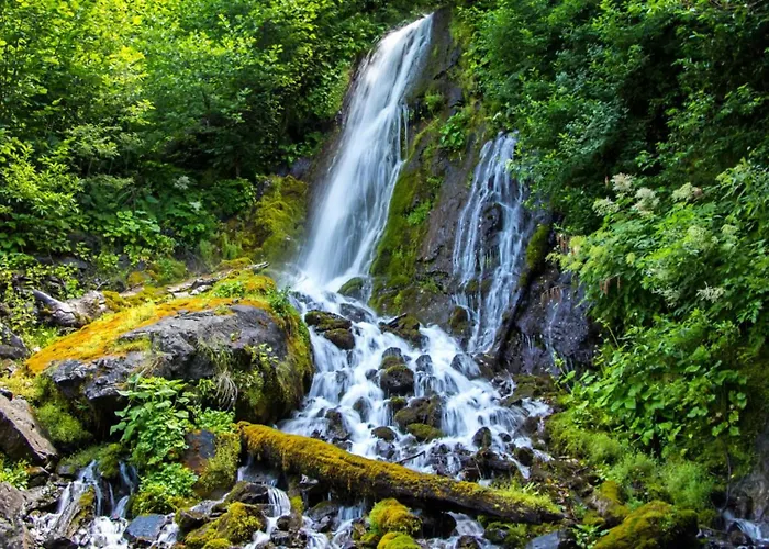 Villa Modern Istra With Pool In Buje Bibali