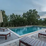Modern Istra With Pool In Buje