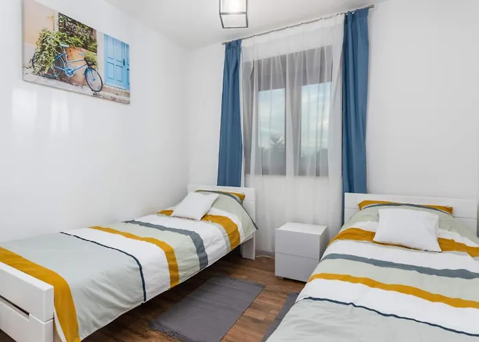 Modern Istra With Pool In Buje Willa